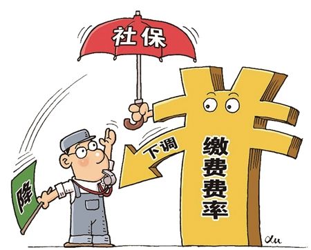 新變化！社保繳納費(fèi)率下降，對(duì)線束加工廠有什么影響？
